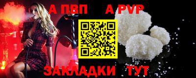 стаф Кингисепп