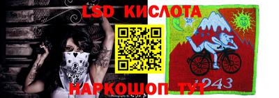 гидра Кимры