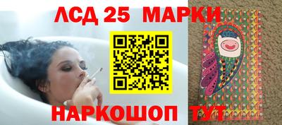 стаф Кингисепп