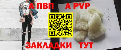 стаф Кингисепп
