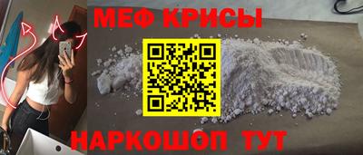стаф Кингисепп
