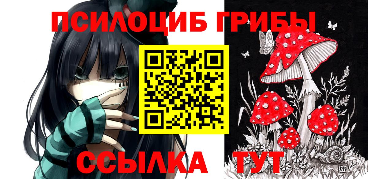 Галлюциногенные грибы MAGIC MUSHROOMS  Галлюциногенные грибы GOLDEN TEACHER  Вход с VPN  Красноармейск 